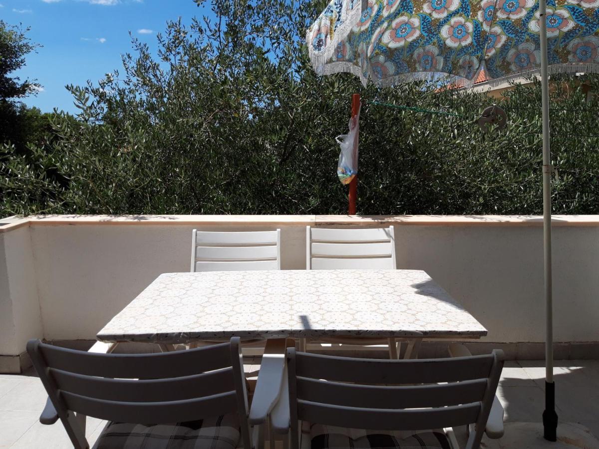 Apartments Ivana Diklo زادار المظهر الخارجي الصورة